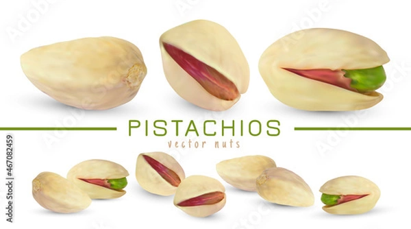 Obraz Vector salted pistachio kernel. Realistic green nuts isolated on white background. 3d snack fruit illustration.