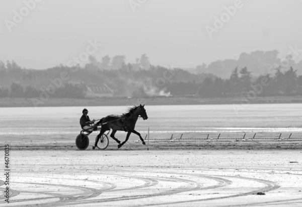 Fototapeta Course attelé 5