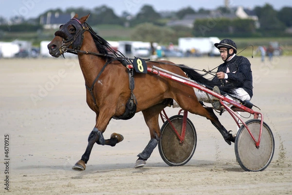 Fototapeta Course attelé