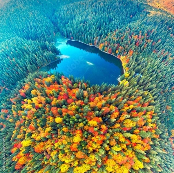 Obraz Synevyr lake autumn mountains