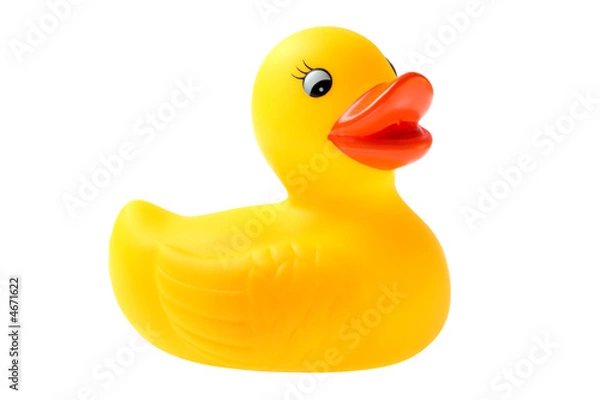 Obraz Gumowe kaczątko