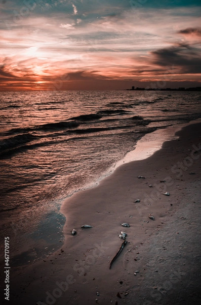 Obraz sunset on the beach