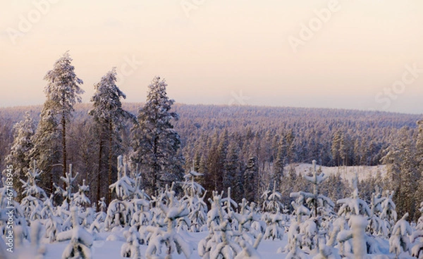 Obraz sunrise in the mountains