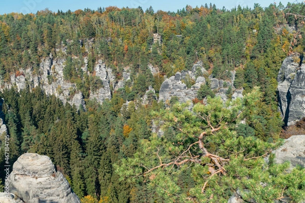 Fototapeta Rocks and coniferous forest in autumn in Germany