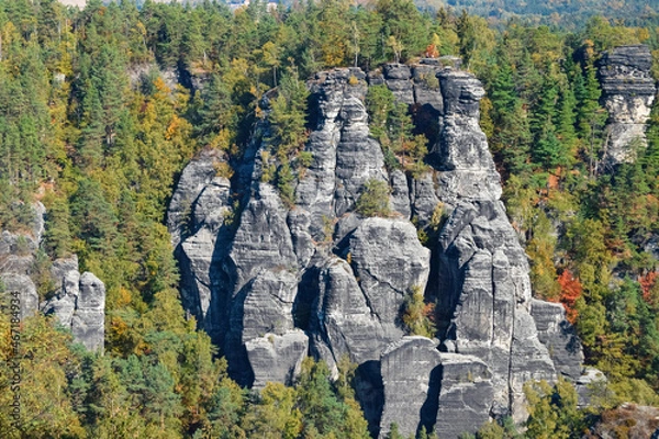 Fototapeta High cliffs under the rays of the sun and coniferous forest