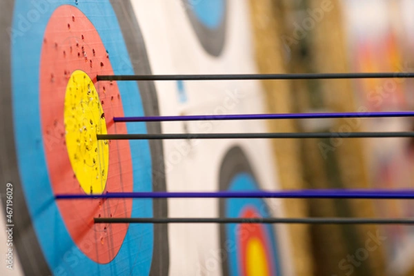 Fototapeta archery indoor