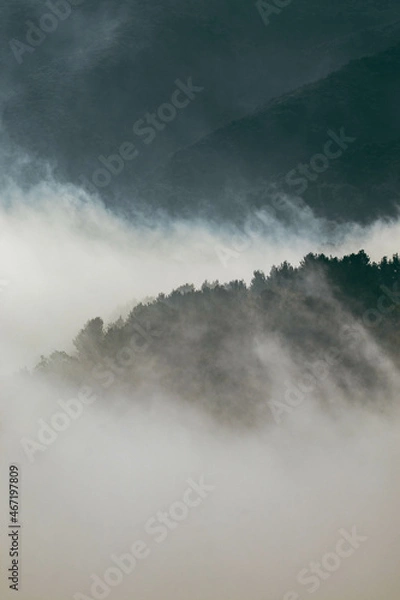 Obraz Fog over the mountains
