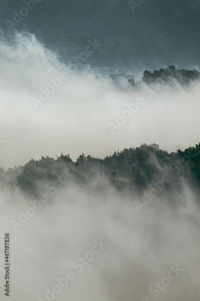 Obraz Fog over the mountains