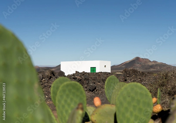 Obraz Tunas en la casa