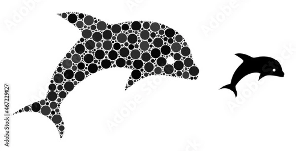 Fototapeta Dolphin vector collage of circle dots in different sizes and color shades. Round dots are composed into dolphin vector collage. Abstract vector design concept.