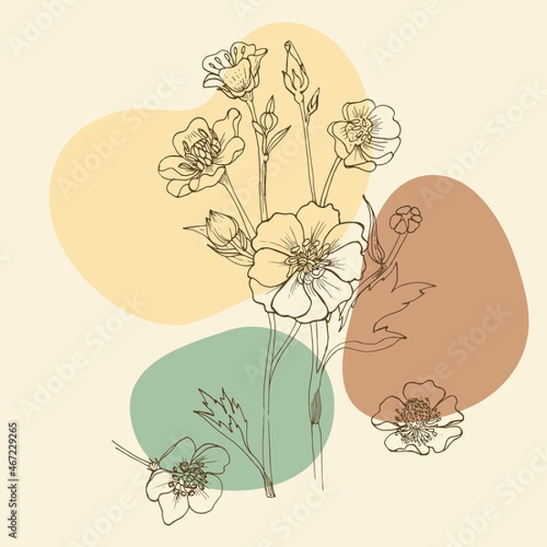Obraz Linear flowers, wildflowers in lines vintage style
