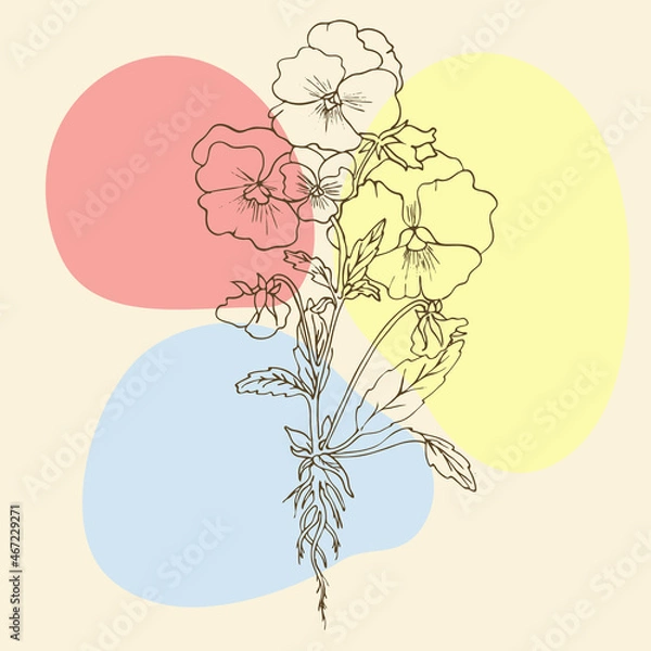 Obraz Linear flowers, wildflowers in lines vintage style
