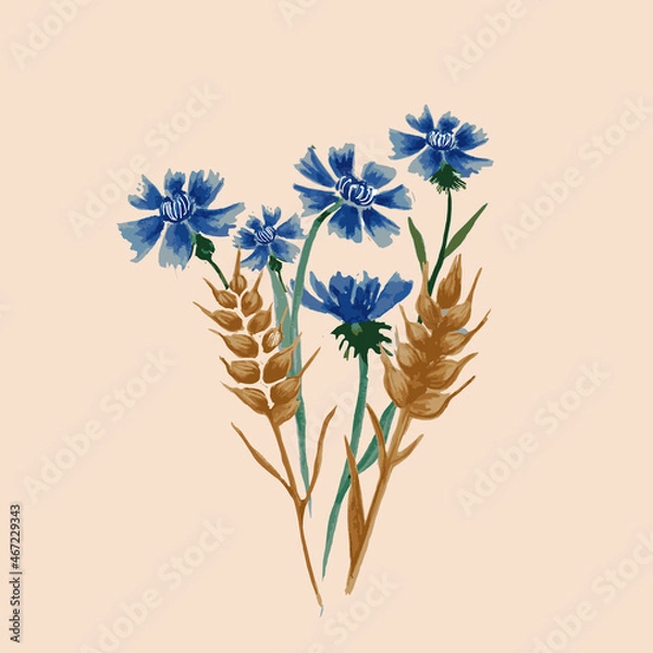 Obraz Bunch of wheat ears and blue cornflowers isolated on white.