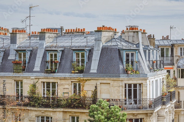 Fototapeta Roofs of Paris