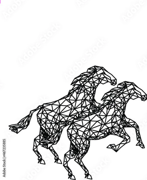 Obraz CAVALO, HORSE, CAVALOS