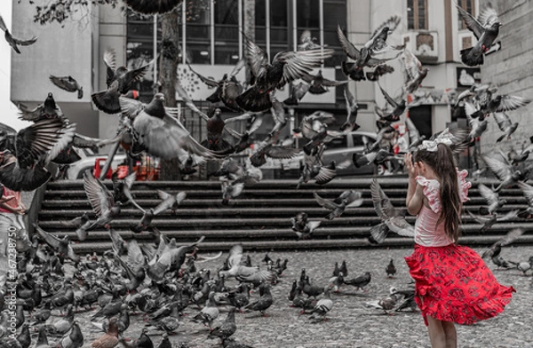 Obraz Niña jugando con palomas