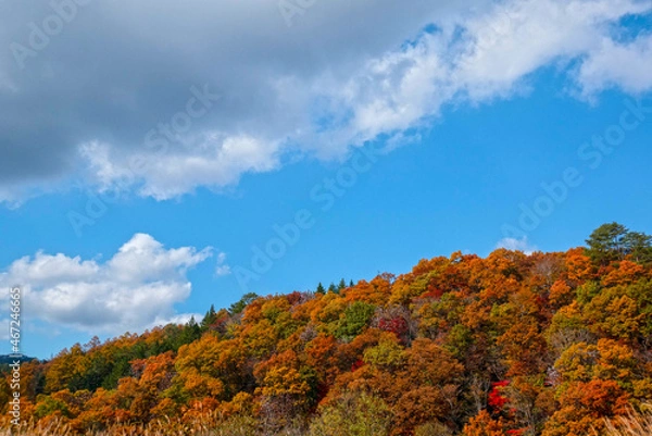 Fototapeta 日本の秋の風景