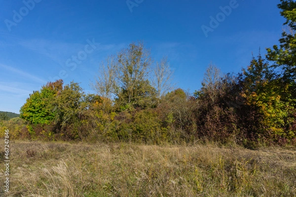 Obraz Landschaft im Herbst