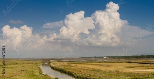 Obraz Palude di Diaccia Botrona