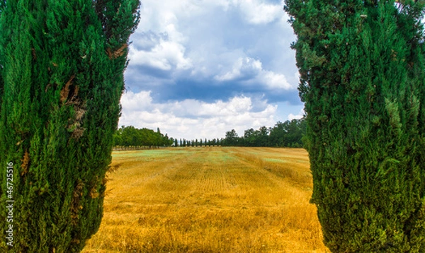 Obraz Colori Toscani