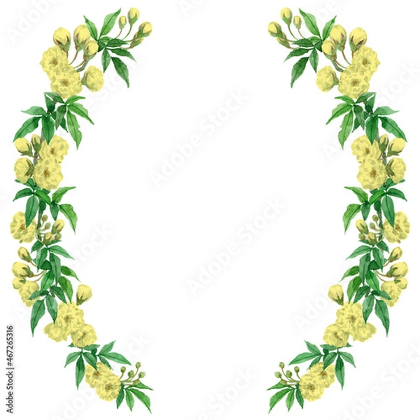 Fototapeta アナログ水彩モッコウバラの半円形装飾フレーム