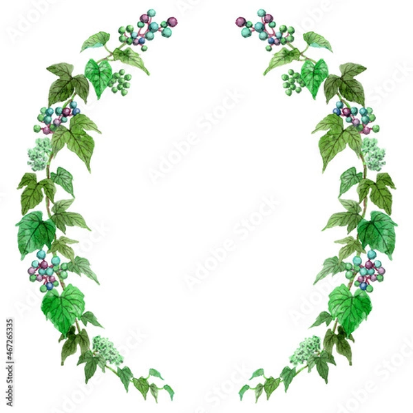 Fototapeta アナログ水彩野葡萄の半円形装飾フレーム