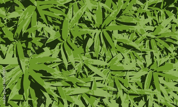 Obraz 植物的背景 / Botanical Background