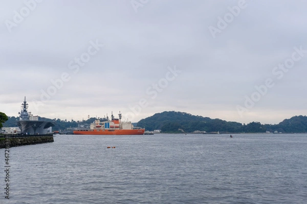 Fototapeta 神奈川県横須賀市の公園