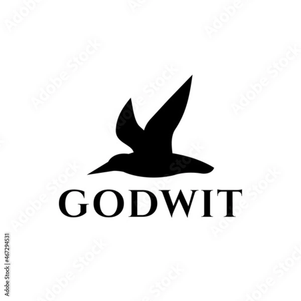 Fototapeta Gotwit bird in white background, flat minimalist vector logo design