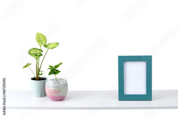 Fototapeta 棚と観葉植物の部屋イメージ