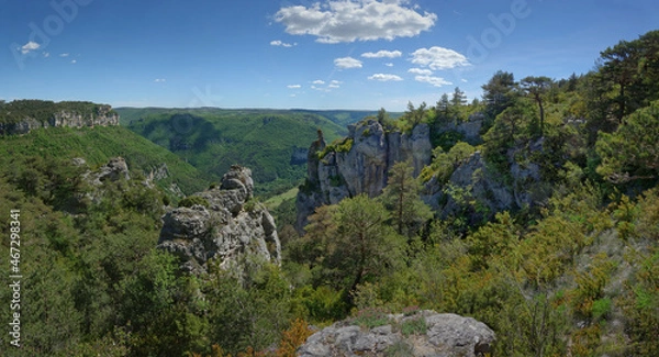 Obraz Gorges de la Dourbie