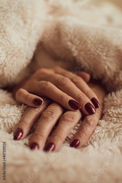 Obraz Female hands with dark red nails. Neat and elegant manicure for a lady. Royal bordeaux color on fingernails. Selective focus on the details, blurred background.