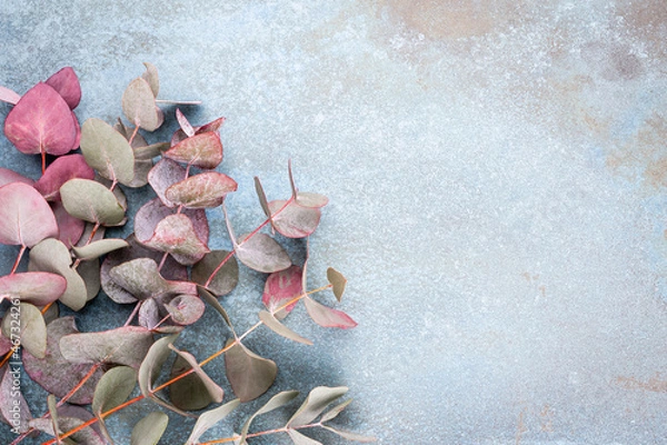 Fototapeta Eucalyptus composition. Pattern made of various colorful flowers on white background. Flat lay stiil life.