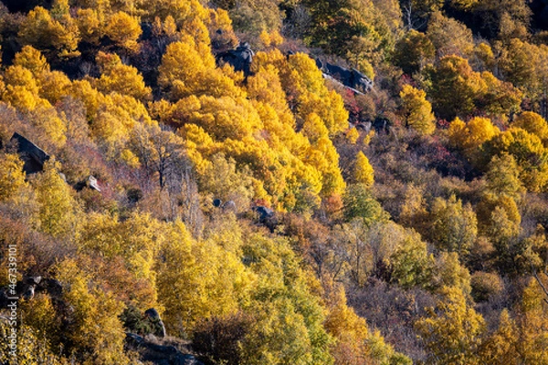 Fototapeta autumn in the mountains