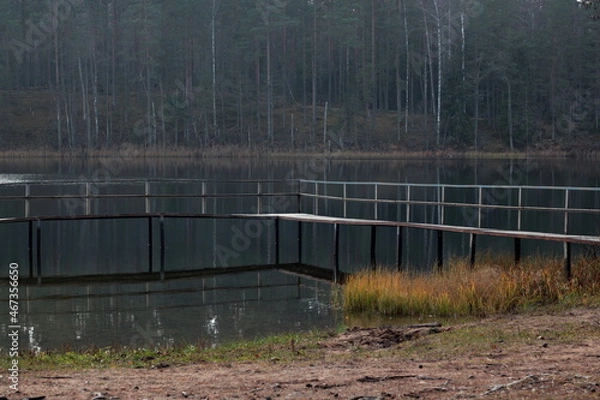 Obraz Russian forest