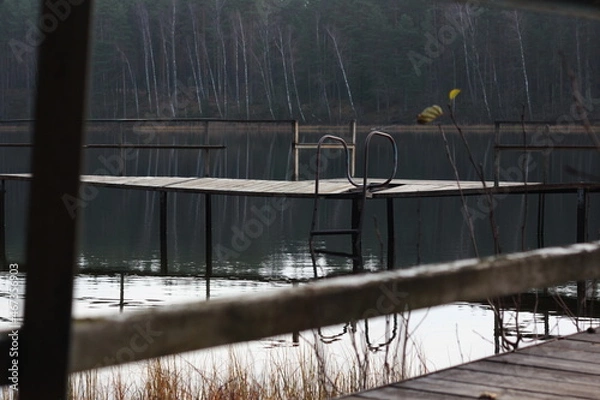 Obraz Russian forest