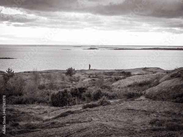 Obraz landscape with the ocean