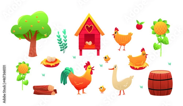 Fototapeta Vector set farm birds isolated on white background. Chicken, rooster, goose, nest with eggs.