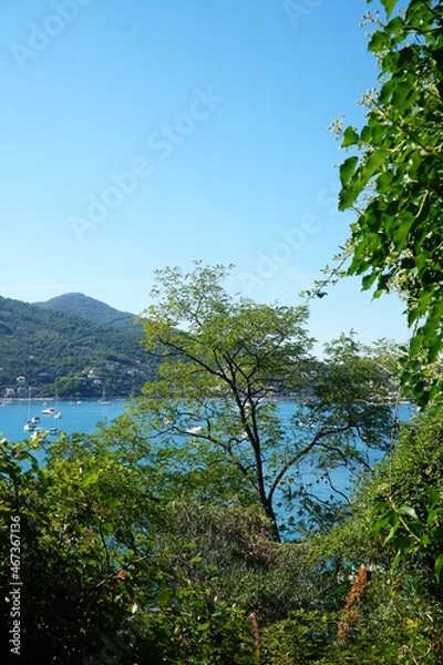 Obraz portovenere
