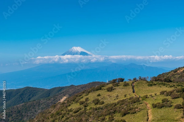 Obraz 伊豆半島西伊豆スカイライン（伊豆山稜線歩道、達磨山周辺）から見える富士山