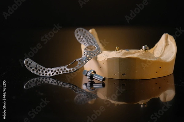 Obraz Dental technician works by brush with jaw model
