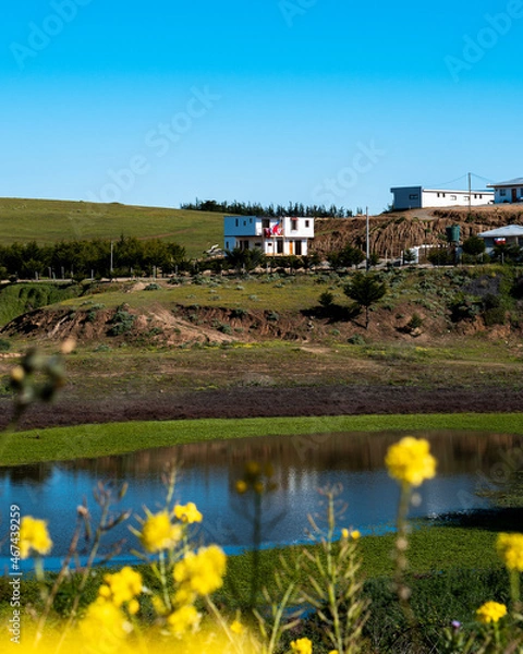 Fototapeta House with Chilean flag in a meadow with a lake in front and vegetation around it