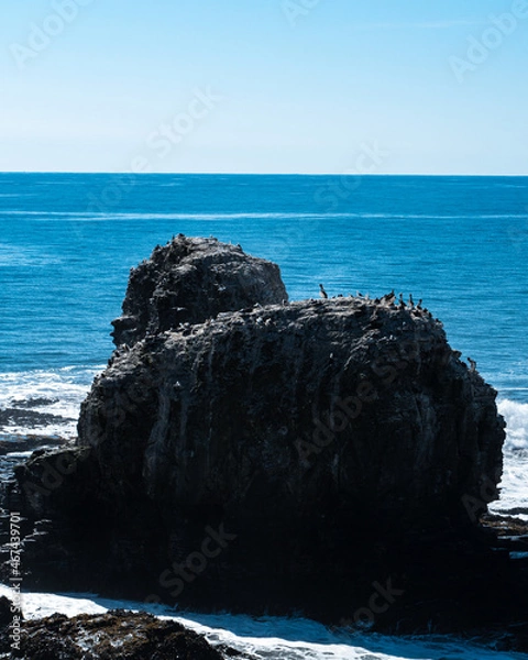 Fototapeta Punta de Lobos emblematic rocks full of native fauna