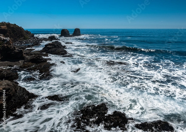 Fototapeta Panoramic view of the coast of punta de lobos on a sunny day.