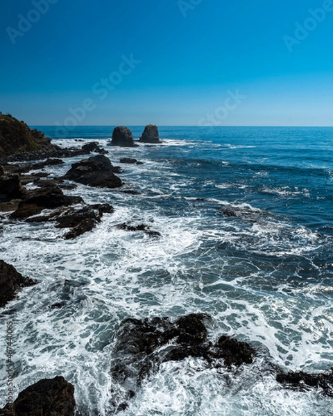 Fototapeta Vertical view of Punta de Lobos with its natural rocks in the background.
