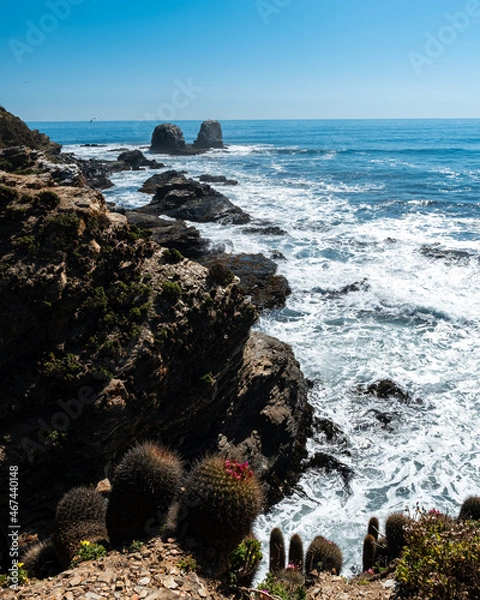 Fototapeta Vertical view of Punta de Lobos with its natural rocks in the background full of native fauna.