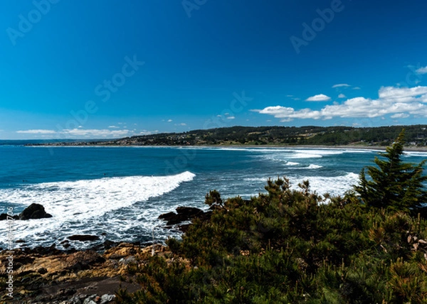 Fototapeta Panoramic view of Punta de Lobos beach on a sunny day.