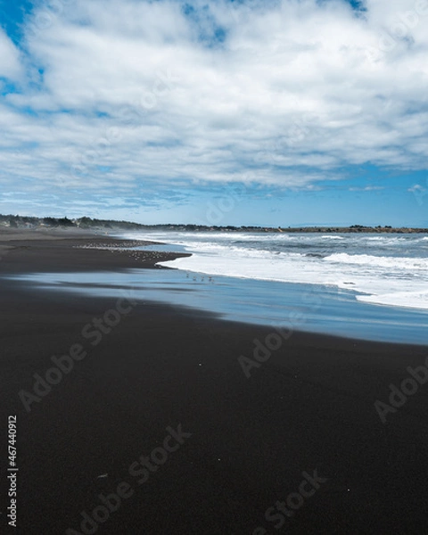 Fototapeta Vertical photo of a flock of birds on pichilemu's infiernillo beach on a cloudy day.