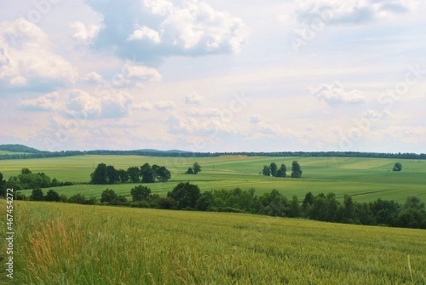 Obraz Pejzaż wiosennych pól