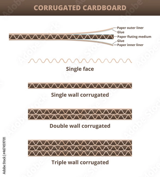 Fototapeta Vector scheme of corrugated cardboard isolated on white. Composition of corrugated cardboard – paper outer liner, paper fluting medium, paper outer liner, glue. Single, double, triple wall corrugated.